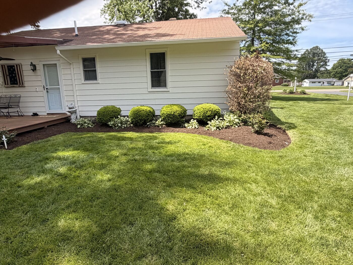 Foundation bed with trimmed boxwoods and hostas