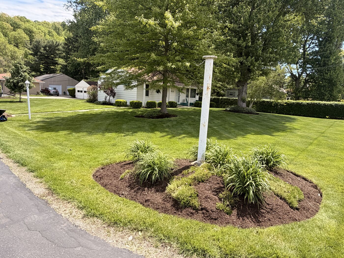 Mulch island bed around a lamppost with ornamental grasses