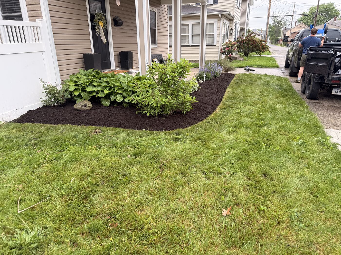 Finished landscape bed with hostas and ornamental grasses